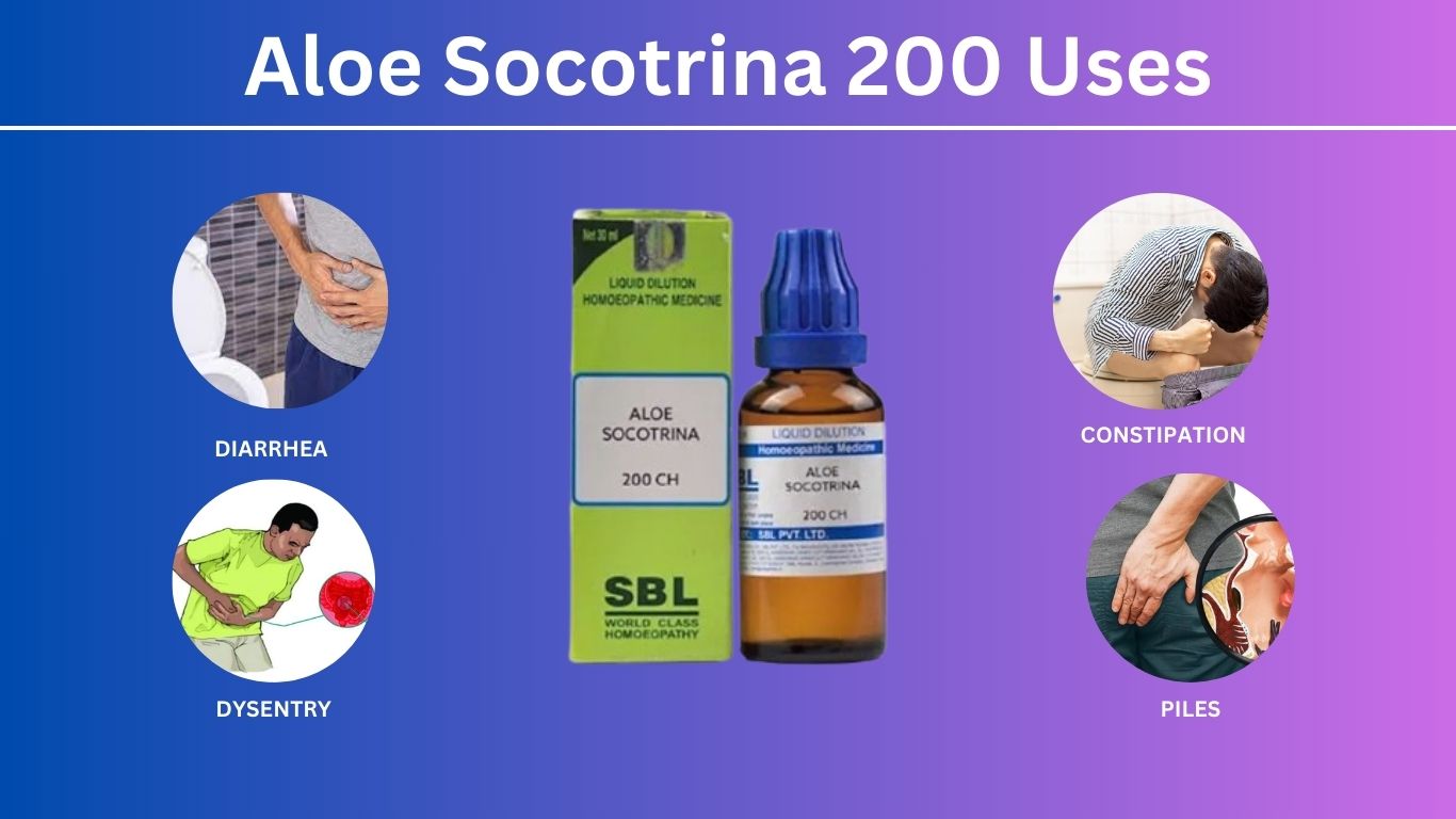 ALOE SOCOTRINA 200