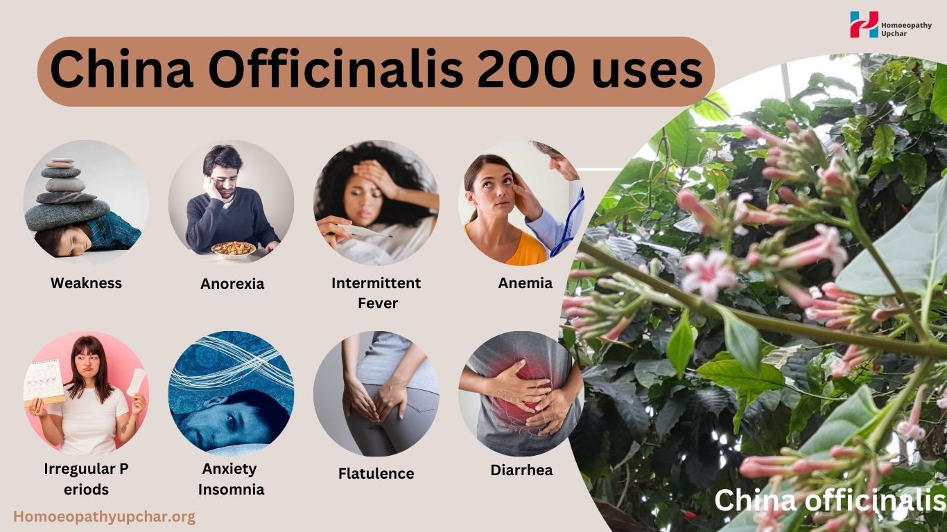 china officinalis 200 uses