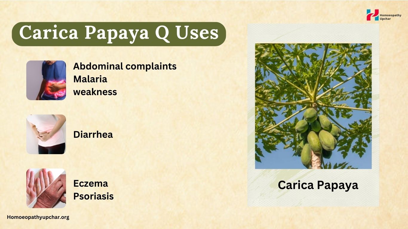 carica papaya q homeopathy uses